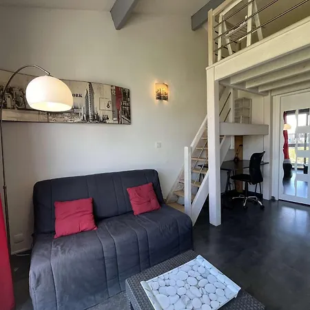 Apartment De Type Mezzanine - Lr111-010
